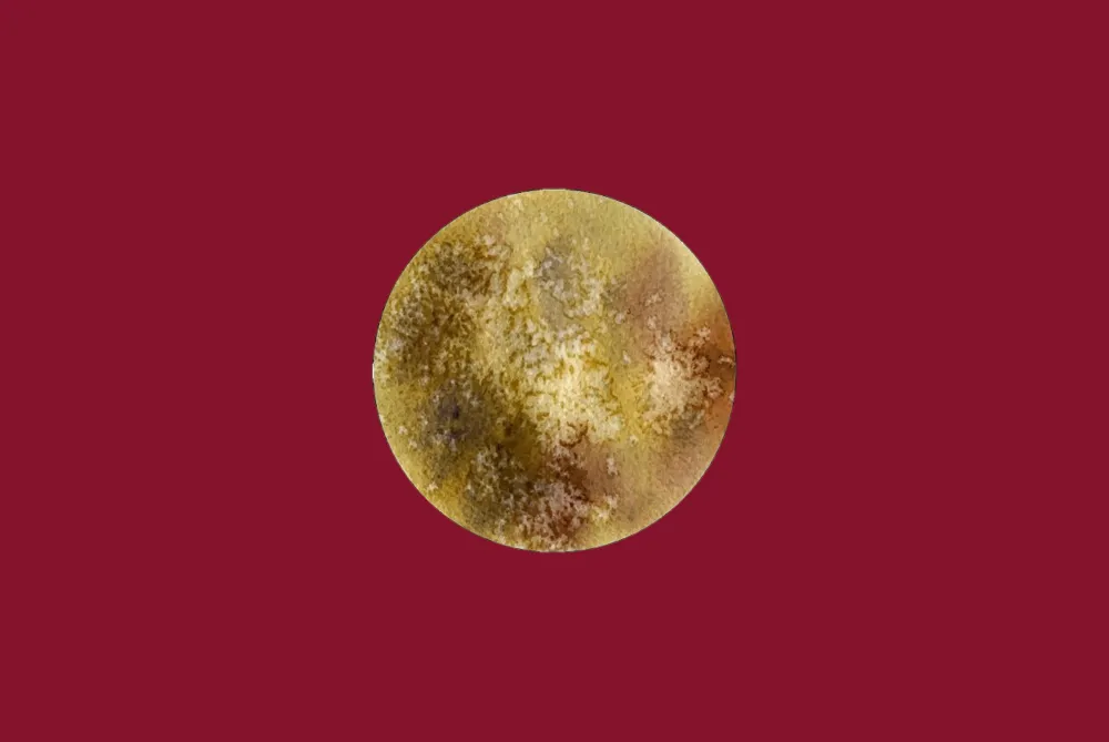 Remedies for Mercury in Vedic Astrology